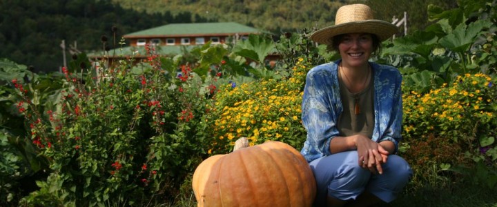 Residential Summer Volunteer